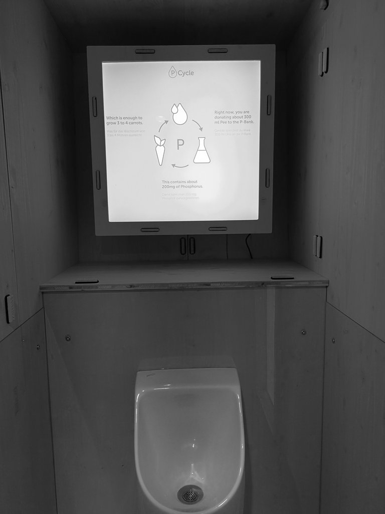 Waterless urinal in the P-Bank. Photo: Dana Höftmann. 